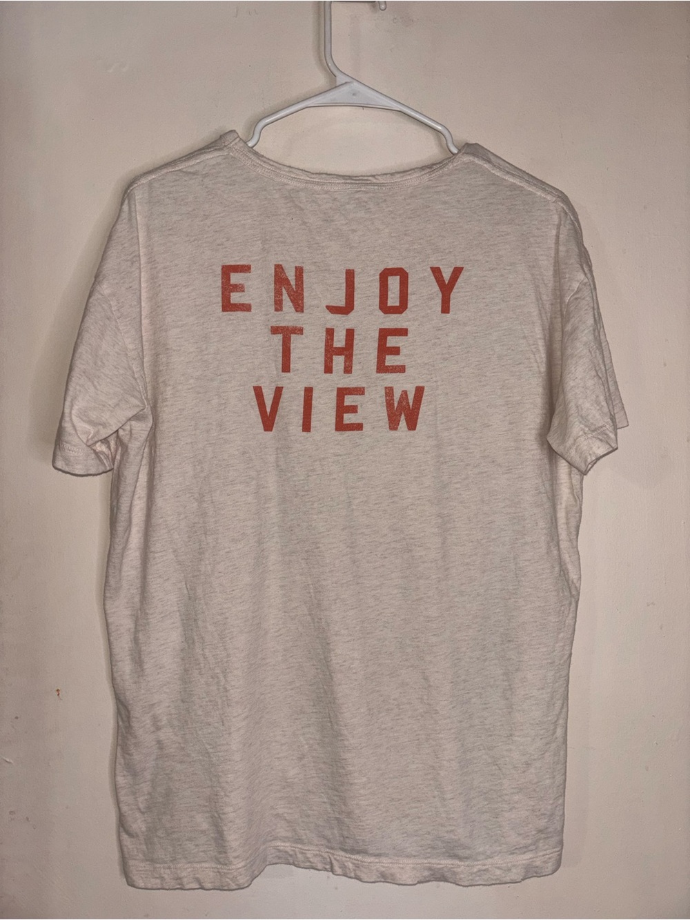 aerie Light Gray boyfriend Tee with Orange 'ENJOY THE VIEW' Graphic